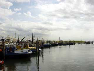 Fishing boats dominate the working harbour at Yerseke