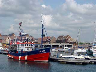 Some of Eastbourne's fishing fleet share the marina with the leisure boats
