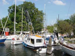 An unseemly rush for moorings at Goes' De Werf marina