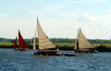 Sail racing on the Broads, with our old boat, Cirrus, leading the pack