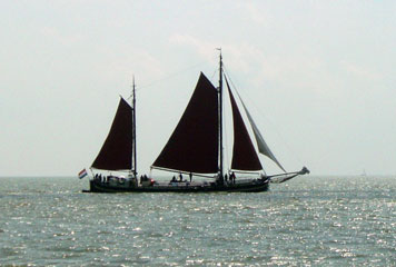 Traditional sailing barges enjoying a brisk breeze on the IJsselmeer