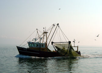 A Terschelling fishing boat with batwing trawl