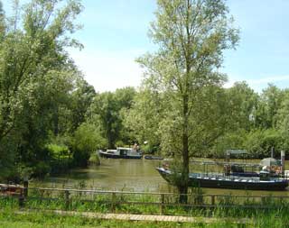 The best way to explore the Biesbosch is by boat